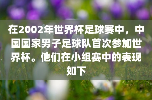 在2002年世界杯足球赛中，中国国家男子足球队首次参加世界杯。他们在小组赛中的表现如下