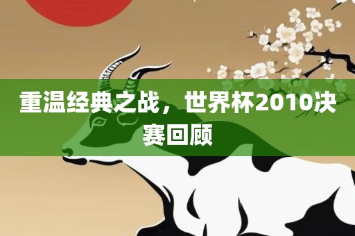 重温经典之战，世界杯2010决赛回顾