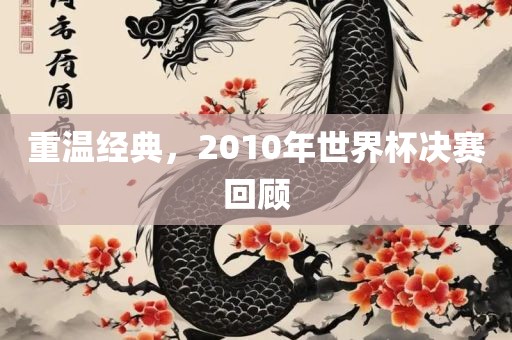 重温经典，2010年世界杯决赛回顾