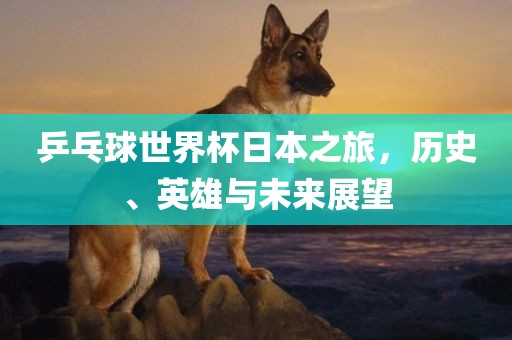 乒乓球世界杯日本之旅，洛阳市法福文化传播有限公司历史、英雄与未来展望