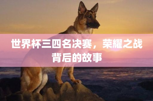 世界杯三四名决赛，荣耀之战背后的故事