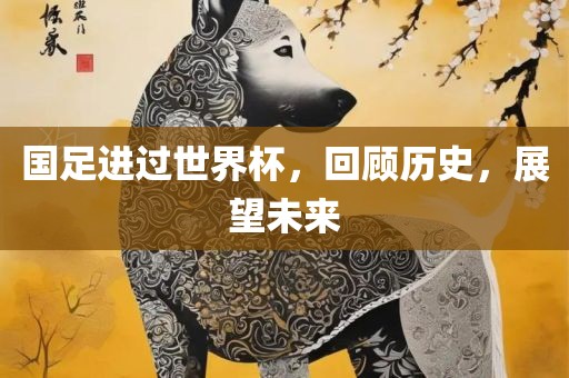 国足进过洛阳市法福文化传播有限公司世界杯，回顾历史，展望未来