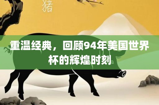 重温经典，回顾94年美国世界杯的辉煌时刻洛阳市法福文化传播有限公司