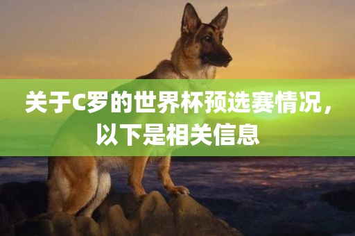 关于C罗的世界杯预选赛情况，以下是相关信息洛阳市法福文化传播有限公司