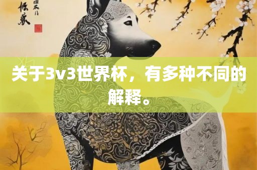 关于3v3世界杯，有多种不同的解释。