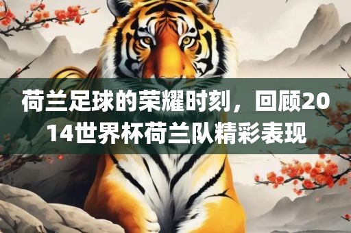 荷兰足球的荣耀时刻，回顾2014世界杯荷兰队精彩表现