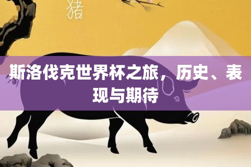 斯洛伐克世界杯之旅，历史、表现与期待