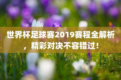 世界杯足球赛2019赛程全解析，精彩对决不容错过！洛阳市法福文化传播有限公司