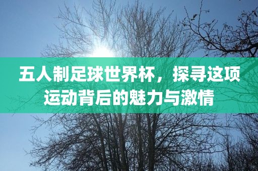五人制足球世界杯，探寻这项运动背后的魅力与激情