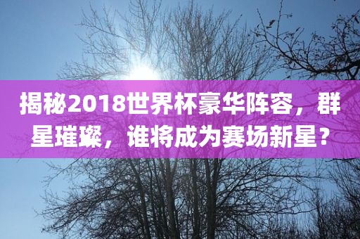 揭秘2018世界杯豪华阵容，群星璀璨，谁将成为赛场新星？