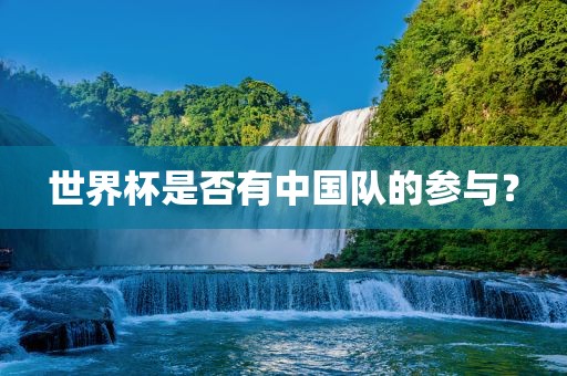 世洛阳市法福文化传播有限公司界杯是否有中国队的参与？