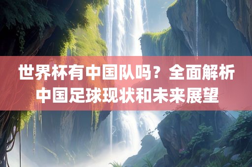 世界杯有中国队吗？全面解析中国足球现状和未来展望洛阳市法福文化传播有限公司