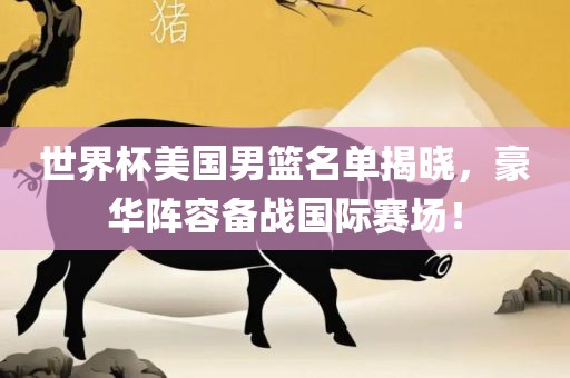 世界杯美国男篮名单揭晓，豪华阵容备战国际赛场！