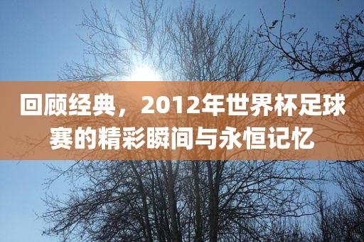 回顾经典，2012年世界杯足球赛的精彩瞬间与永恒记忆洛阳市法福文化传播有限公司