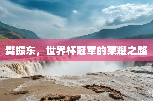 樊振东，世界杯冠军的荣耀之路