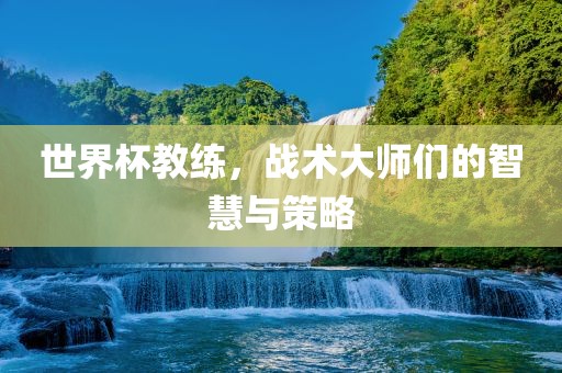 世界杯教练，战术大师们的智慧与策略洛阳市法福文化传播有限公司