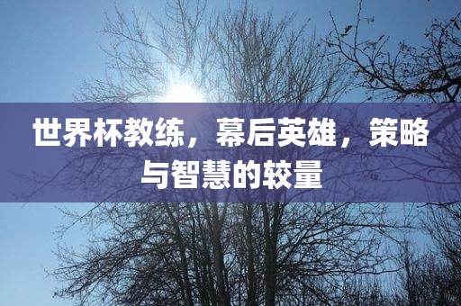 世界杯教练，幕后英雄，策略与智慧的较量洛阳市法福文化传播有限公司