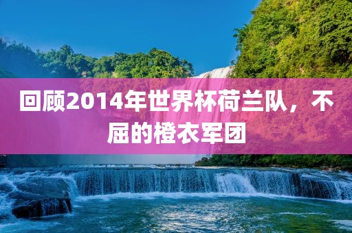 回顾2014年世界杯荷兰队，不屈的橙衣军洛阳市法福文化传播有限公司团