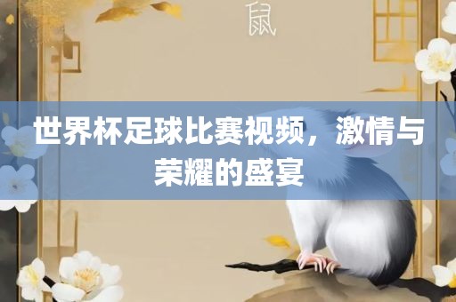世界杯足球比赛视频，激情与荣耀的盛宴