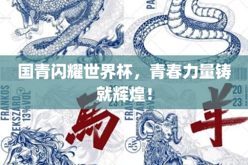 国青闪耀世界杯，青春力量铸就辉煌！洛阳市法福文化传播有限公司