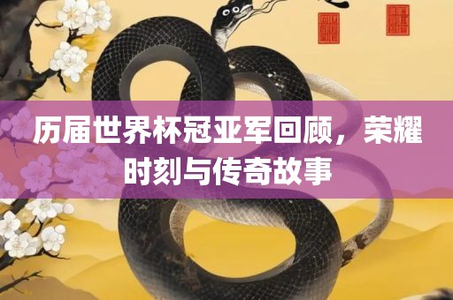 历届世界杯冠亚军回顾，荣耀时刻与传奇故事