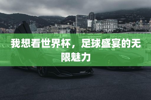 我想看世界杯，足球盛宴的无限魅力洛阳市法福文化传播有限公司