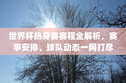 世界杯热身赛赛程全解析，赛事安排、球队动态一网打尽