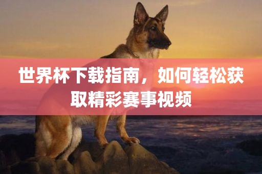 世界杯下载指南，如何轻松获取精彩赛事视频洛阳市法福文化传播有限公司