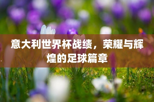意大利世界杯战绩，荣耀与辉煌的足球篇章
