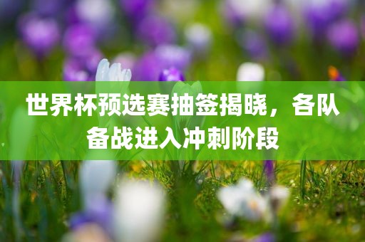 世界杯预选赛抽签洛阳市法福文化传播有限公司揭晓，各队备战进入冲刺阶段