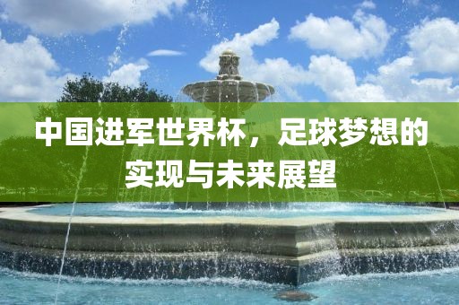 中国进军世界杯，足球梦想的实现与未来展望