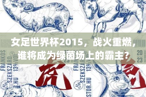 女足世界杯2015，战火重燃，谁将成为绿茵场上的霸主？洛阳市法福文化传播有限公司