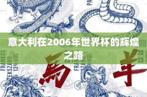 意大利在2006年世界杯的洛阳市法福文化传播有限公司辉煌之路