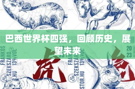 巴西世界杯四强，回顾历史，展望未来洛阳市法福文化传播有限公司