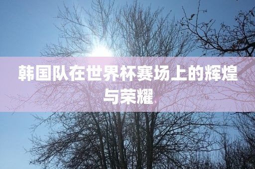 韩国队在世界杯赛场上的辉煌与荣耀