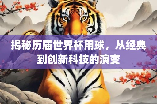 揭秘历届世界杯用球，从经典到创新科技的演变