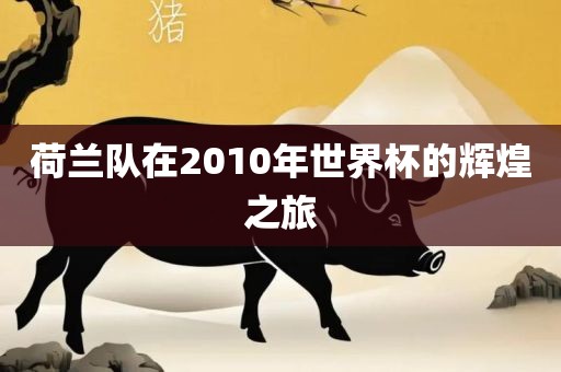 荷兰队在2010年世界杯的辉煌之旅