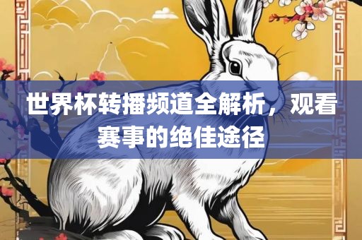 世界杯转播频道全解析，观看赛事的绝佳途径洛阳市法福文化传播有限公司