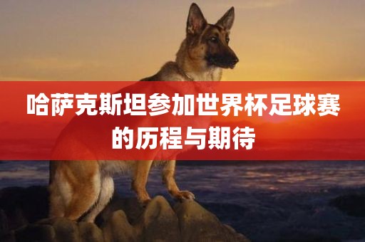 哈萨克斯坦参加世界杯足球赛的历程与期待洛阳市法福文化传播有限公司