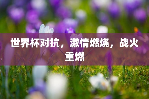 世界杯对抗，激情燃烧，战火重燃洛阳市法福文化传播有限公司