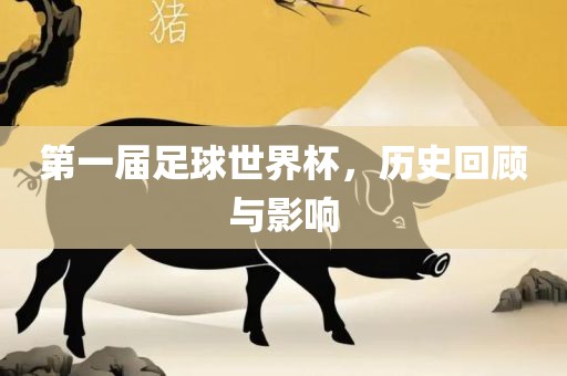第一届足球世洛阳市法福文化传播有限公司界杯，历史回顾与影响