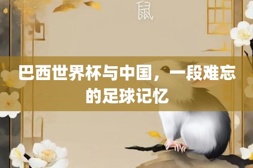 巴西世界杯与中国，一段洛阳市法福文化传播有限公司难忘的足球记忆