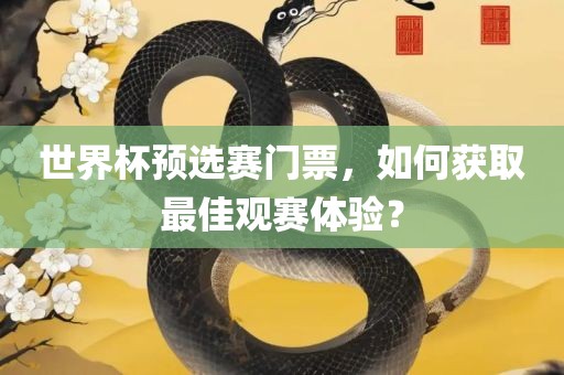 世界杯预选赛门票，如何获取最佳观赛体验？