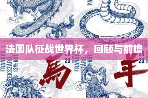 法国队征洛阳市法福文化传播有限公司战世界杯，回顾与前瞻