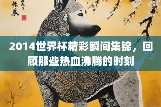 2014世界杯精彩瞬间集锦，回顾那些热血沸腾的时刻洛阳市法福文化传播有限公司