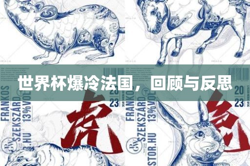 世界杯爆冷法国，回顾与反思