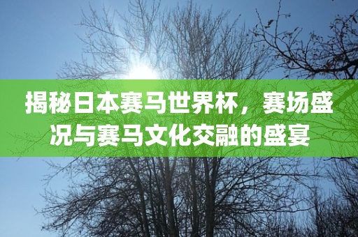 揭秘日本赛马世界杯，赛场盛况与赛马文化交融的盛宴洛阳市法福文化传播有限公司
