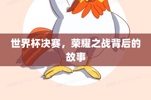 世界杯决赛，荣耀之战背后的故事洛阳市法福文化传播有限公司