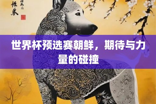 世界杯预选赛朝鲜，期待与力量的碰撞洛阳市法福文化传播有限公司