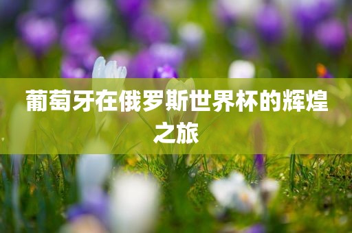葡萄牙在俄罗斯世界杯的辉煌之旅洛阳市法福文化传播有限公司
